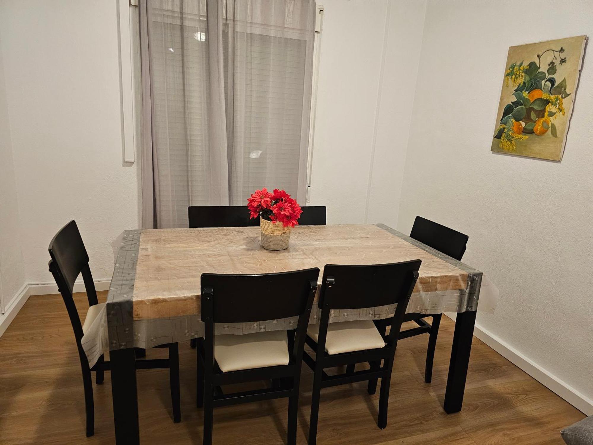 אליקאנטה Apartamentos Plaza מראה חיצוני תמונה
